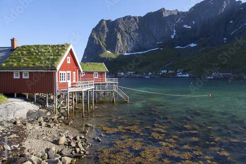 Obraz na płótnie scenery with rorbuer, cottages near reine on lofoten islands, norway w salonie