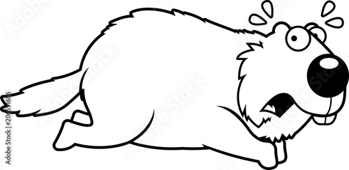 Cartoon Woodchuck Running Away