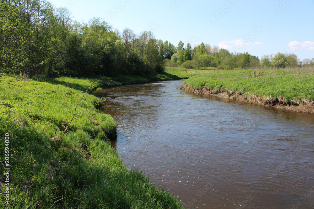 Large river and forest on the banks Large river and forest on the banks
