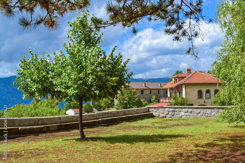 Beautiful landscape. Mountain village. A house with a tiled roof. Tree and blue sky. Montenegro