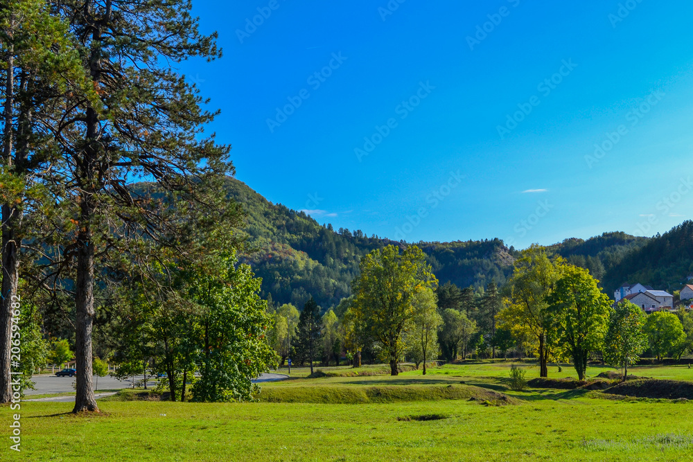 Beautiful park for walking. Green lawn, trees and blue sky. Montenegro.