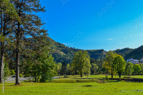 Beautiful park for walking. Green lawn, trees and blue sky. Montenegro.