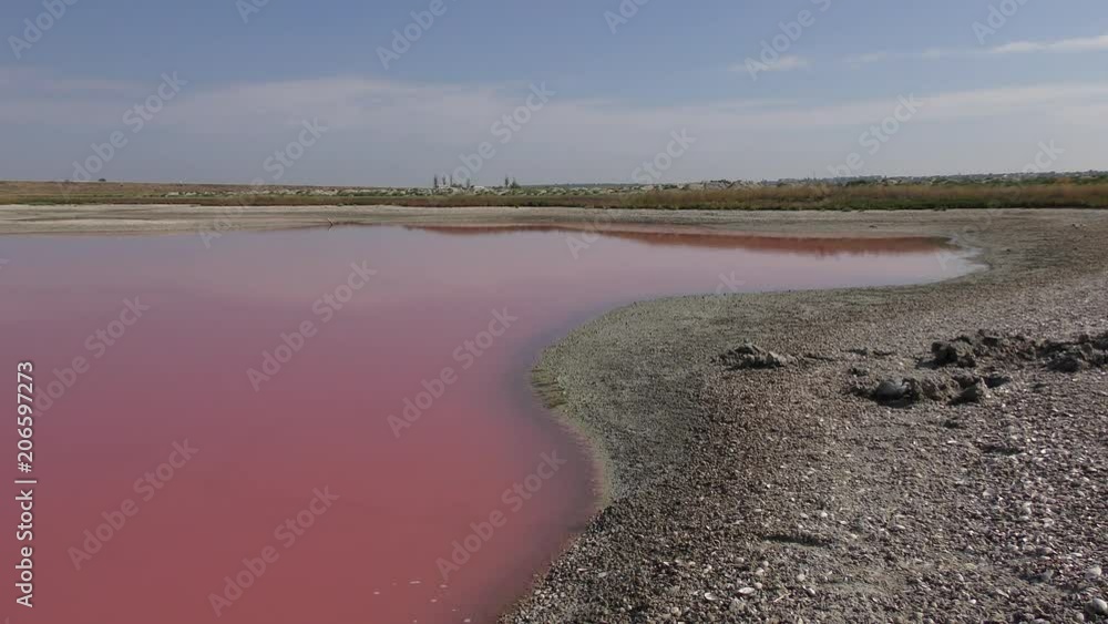 Puddles that left on the bottom of the drying up of salty estuary, the water is colored with green alga Dunaliella salina. Puddles that left on the bottom of the drying up of salty estuary, the water is colored with green alga Dunaliella salina.