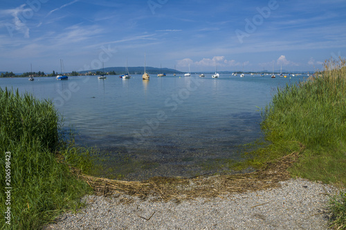 Wallpaper Mural Urlaub Allensbach am schönen Bodensee mit blauen Himmel und Segelbooten Torontodigital.ca
