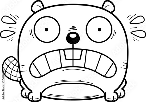 Terrified Little Beaver