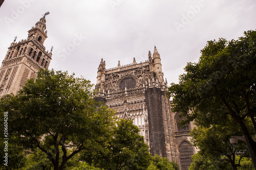 Obraz na płótnie torre catedral de sevilla w salonie