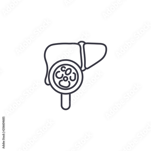 Examination of the liver linear icon concept. Examination of the liver line vector sign, symbol, illustration.
