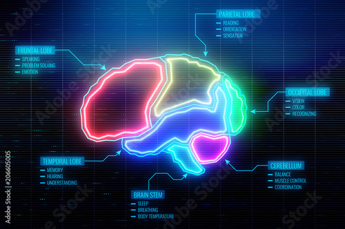Digital brain wallpaper