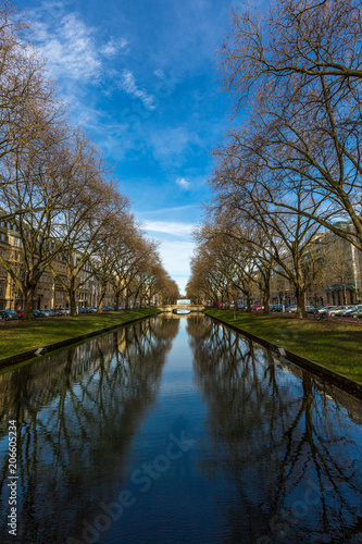 CIty river with trees