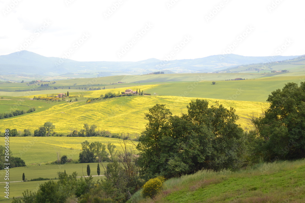 Lost in the enchanting Val D'Orcia , Tuscany,  Italia