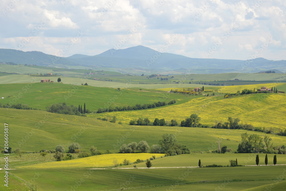 Lost in the enchanting Val D'Orcia Lost in the enchanting Val D'Orcia