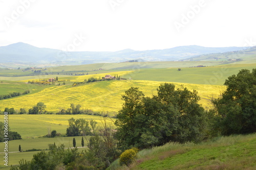 Lost in the enchanting Val D'Orcia , Tuscany, Italia