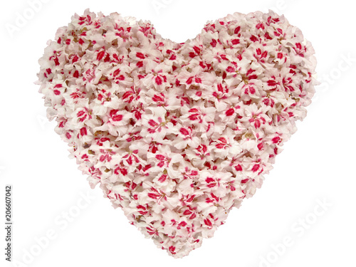 Wallpaper Mural valentines day heart made of horse chestnut flowers Torontodigital.ca