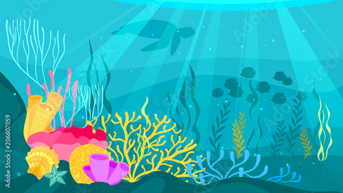 underwater background with sea flora