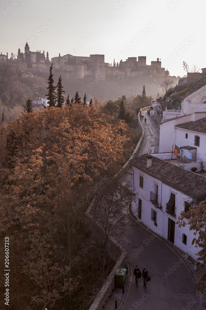 paseo calles de granada