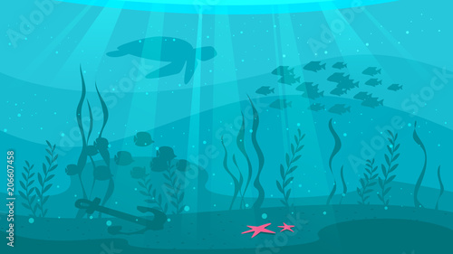 underwater background with sea flora