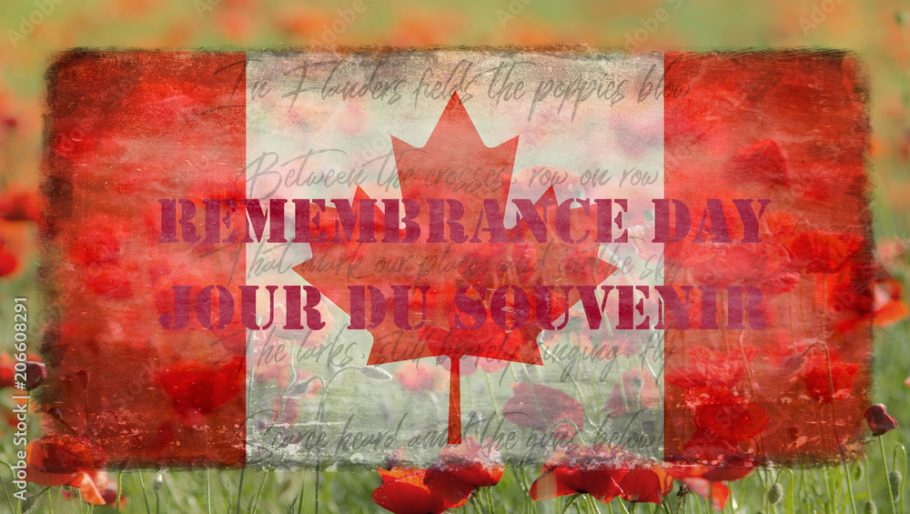 Destroyed flag Canadian on the background of poppies - Remembrance Day