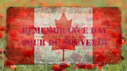 Obraz na płótnie Destroyed flag Canadian on the background of poppies - Remembrance Day w salonie
