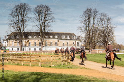 Newmarket Racehorses HQ photo