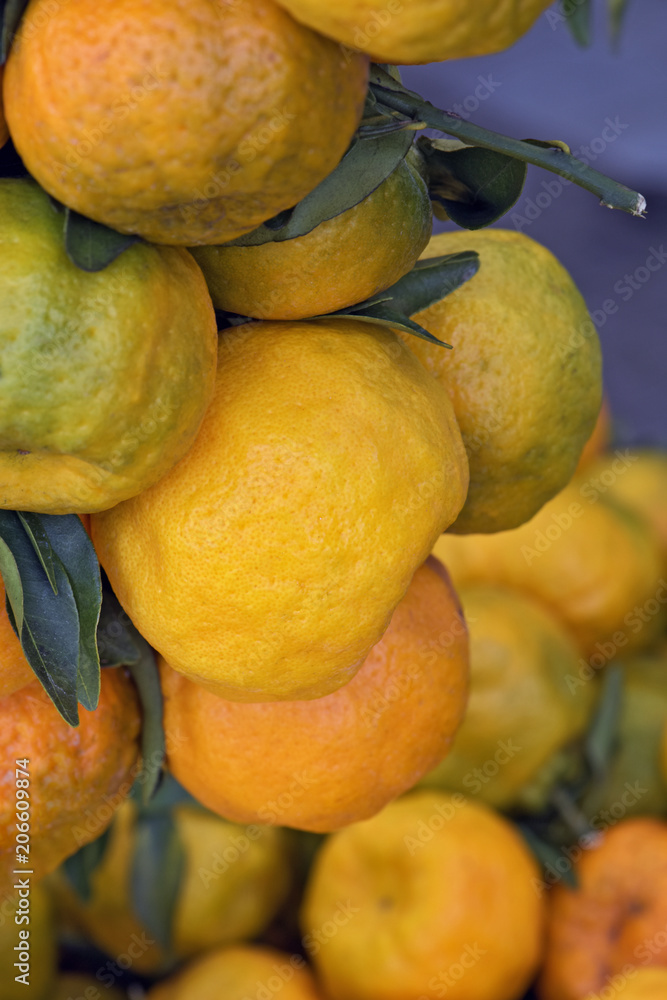 Bunch of mandarin orange