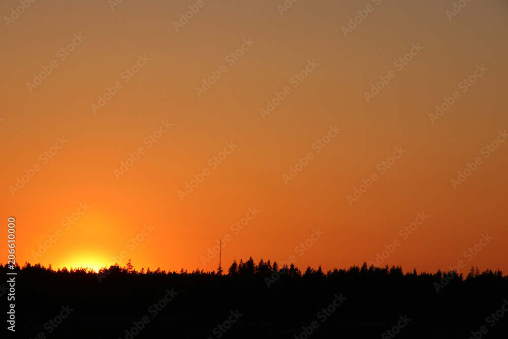 Naklejka premium sunset behind silhouette of forest