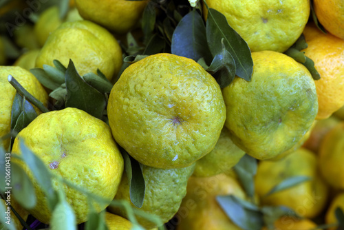 Bunch of mandarin orange photo