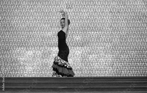 Photography The beautiful Spanish woman sensually dances the flamenco