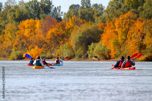 Group of kayakers row along the Danube river against a background of yellow autumn trees