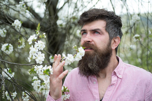 Man in pink shirt smelling scent of flowering trees. Florist enjoying spring fragrance, unity with nature concept. Side view bearded man with blue eyes looking at sky in blooming garden
