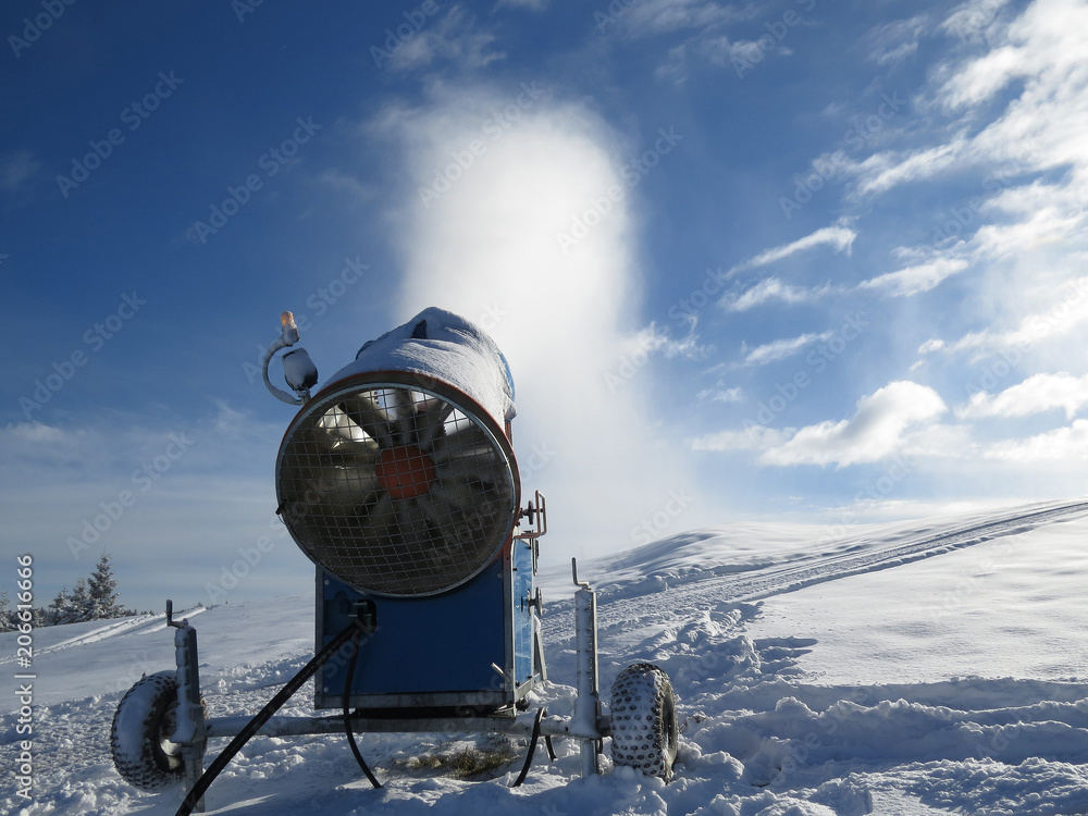 Obraz premium natura