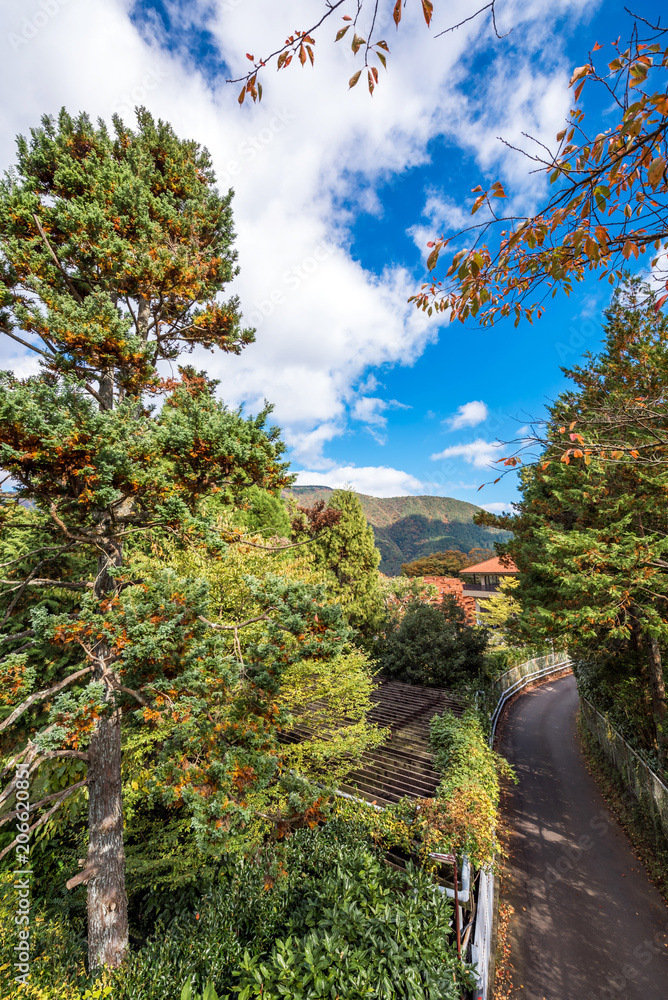 Fototapeta premium View of the mountain landscape, Hanoke, Japan. Copy space for text. Vertical.