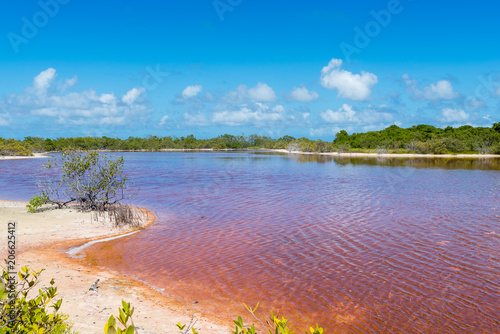 Natural saline water pool in Los roques archipelago, Venezuela