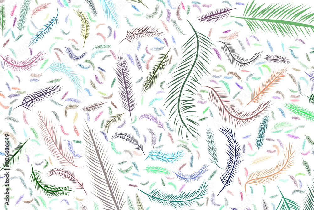Abstract illustrations of feather, conceptual. Surface, details, graphic & template. Abstract illustrations of feather, conceptual. Surface, details, graphic & template.