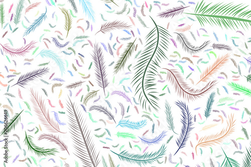 Abstract illustrations of feather  conceptual. Surface  details  graphic   template.