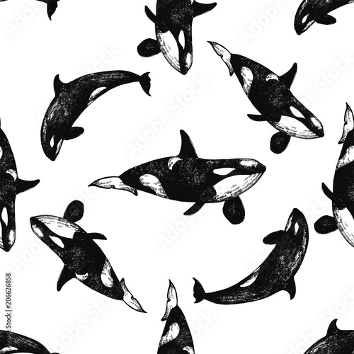 Seamless pattern of hand drawn sketch style killer whales isolated on white background. Vector illustration.