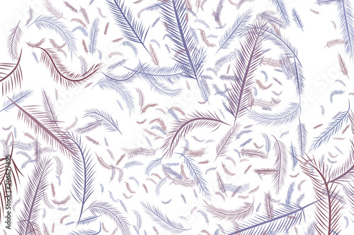 Abstract illustrations of feather, conceptual. Template, cartoon, digital & drawing.