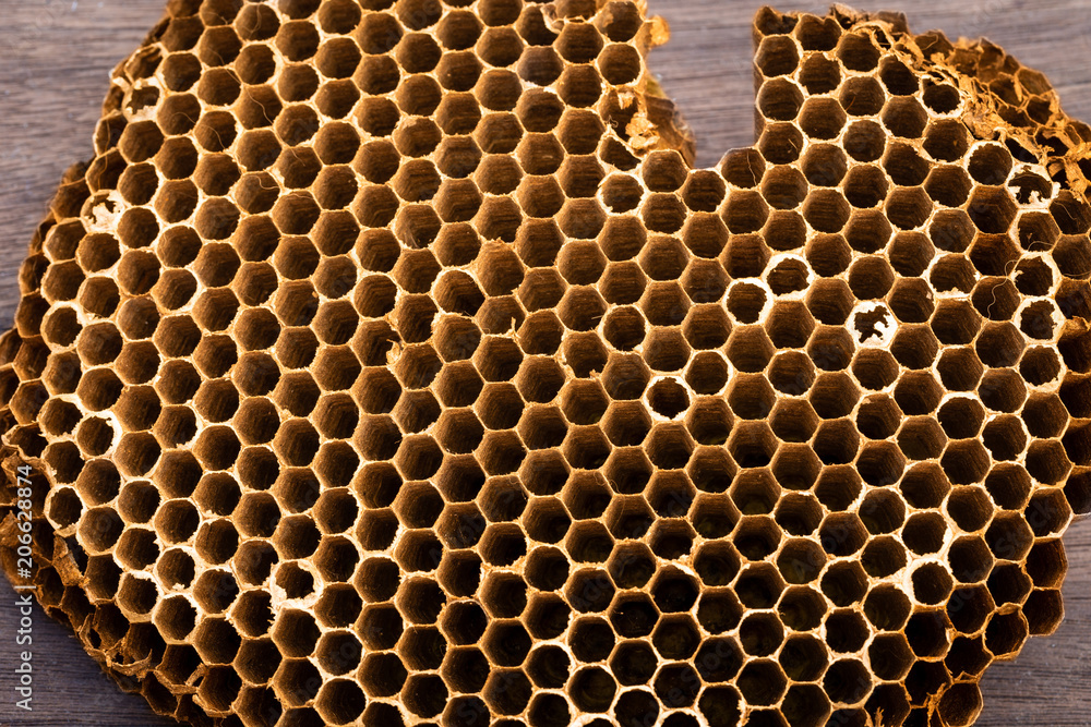 Honeycomb