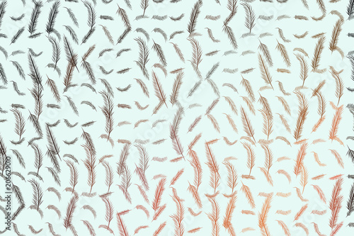 The feather illustrations background abstract, hand drawn. Color, details, cartoon & design.