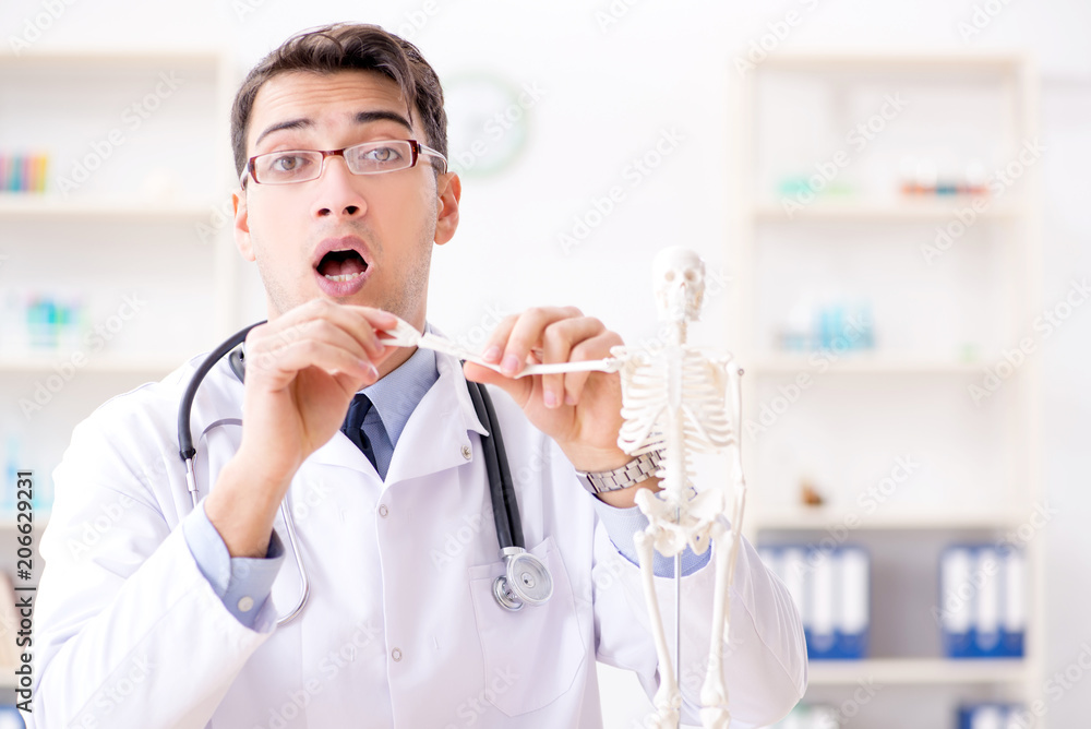 Doctor explaining human body on skeleton Doctor explaining human body on skeleton