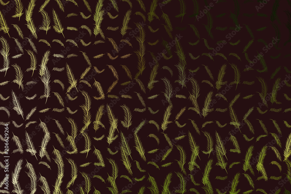 Illustrations of feather. Design, pattern, texture & cartoon. Illustrations of feather. Design, pattern, texture & cartoon.