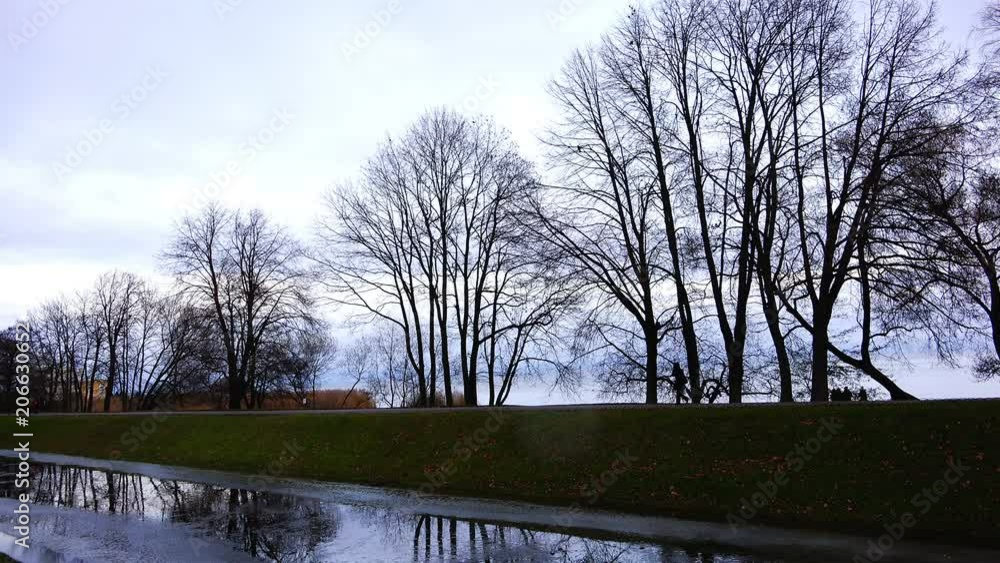 bare trees on a cold autumn evening bare trees on a cold autumn evening