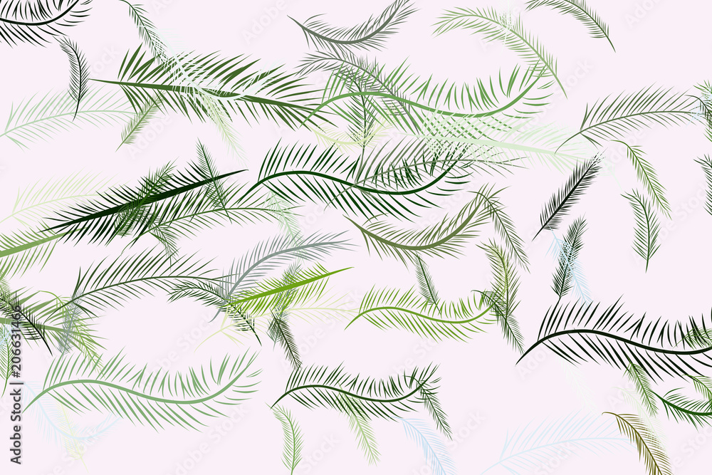 The feather illustrations background abstract, hand drawn. Creative, style, sketch & design.