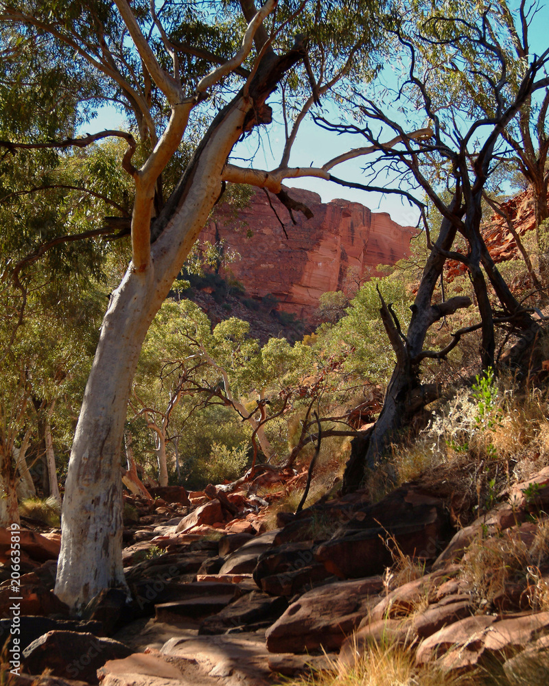 Red Centre Red Centre