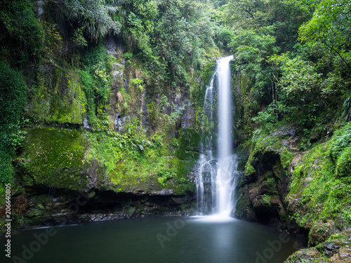 Hidden Beautiful Jungle New Zealand Waterfall