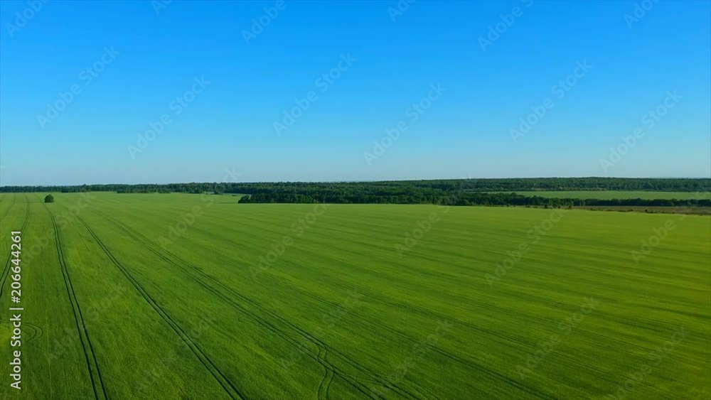 boundless green rice field against distant village by pictorial hills. boundless green rice field against distant village by pictorial hills.
