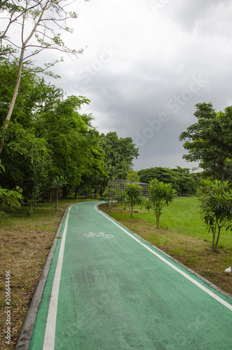 green bike lane in the beautiful nature