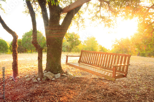 Φωτογραφία Glorious Spot for a Swing