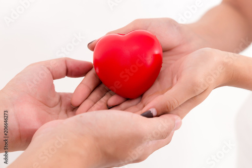 Heart in hands of couple love. Isolated on white background. Studio lighting.