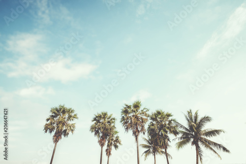 Palm tree on tropical beach with blue sky and sunlight in summer, uprisen angle. vintage instagram filter effect © jakkapan