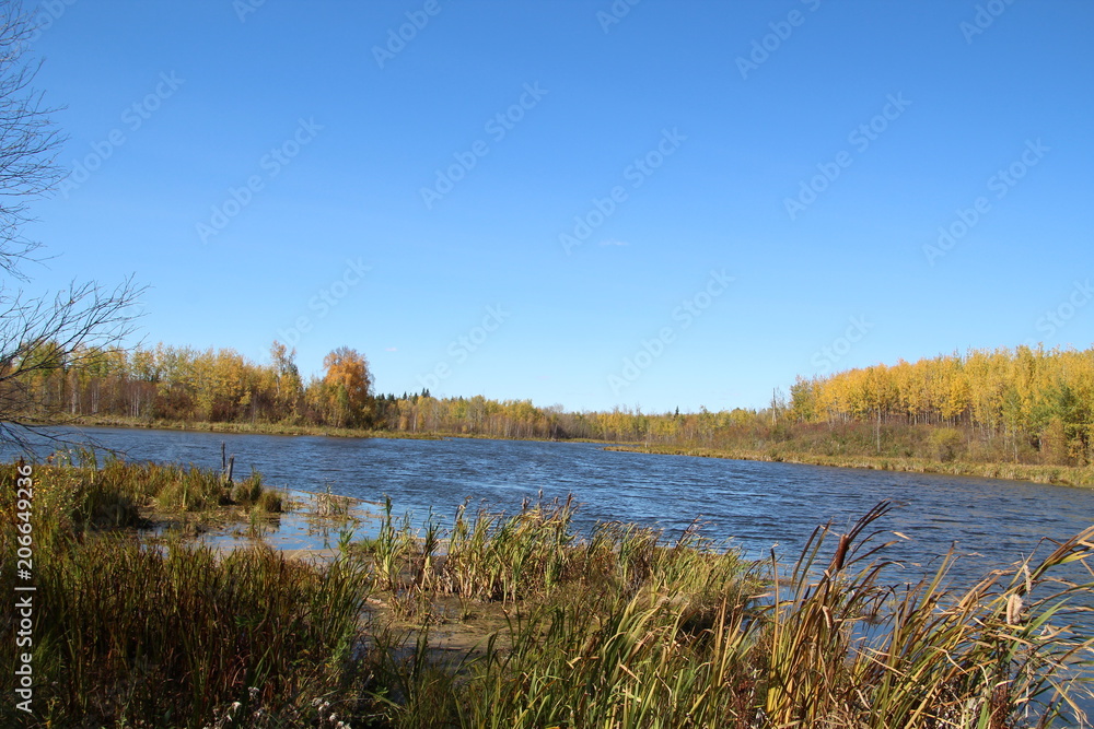 Pond At Amisk Wuche Trail, Elk Island National Park, Alberta